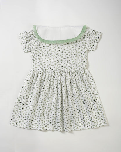 Girls lace collar short sleeve floral dress