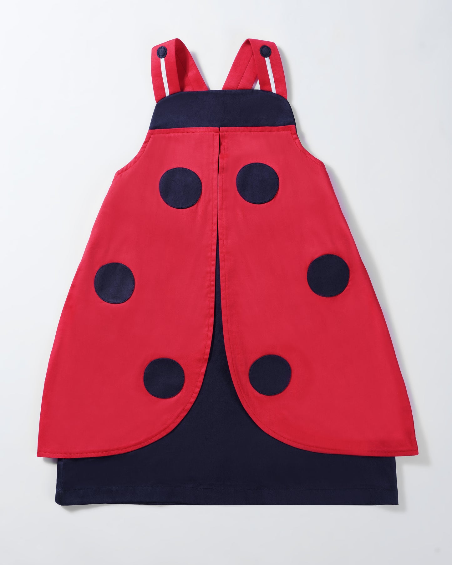 Lucky Ladybug Dress