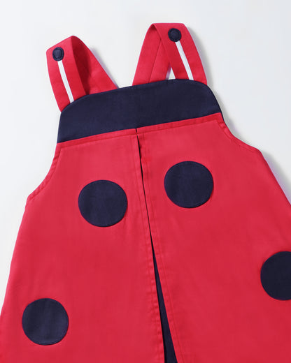 Lucky Ladybug Dress