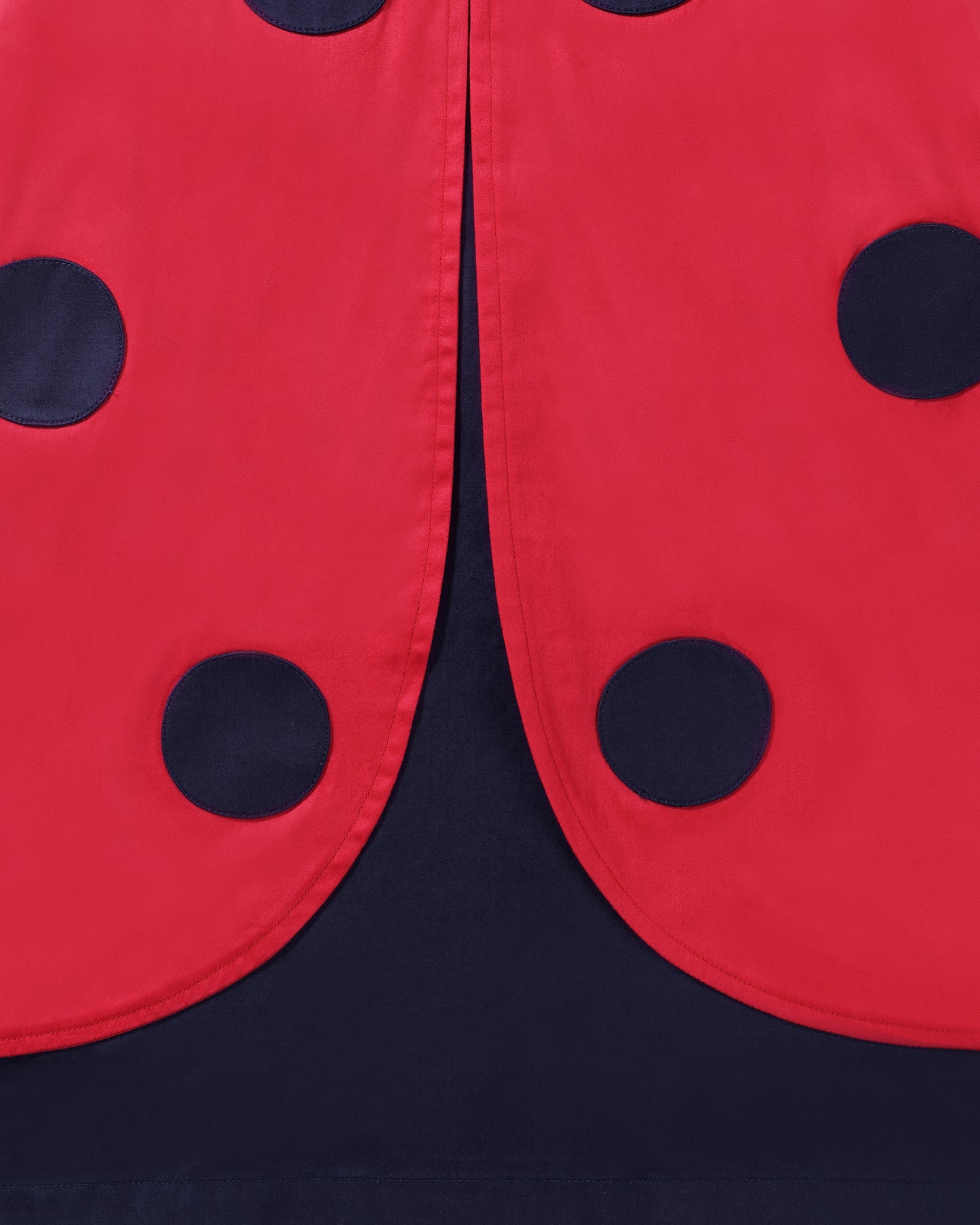 Lucky Ladybug Dress