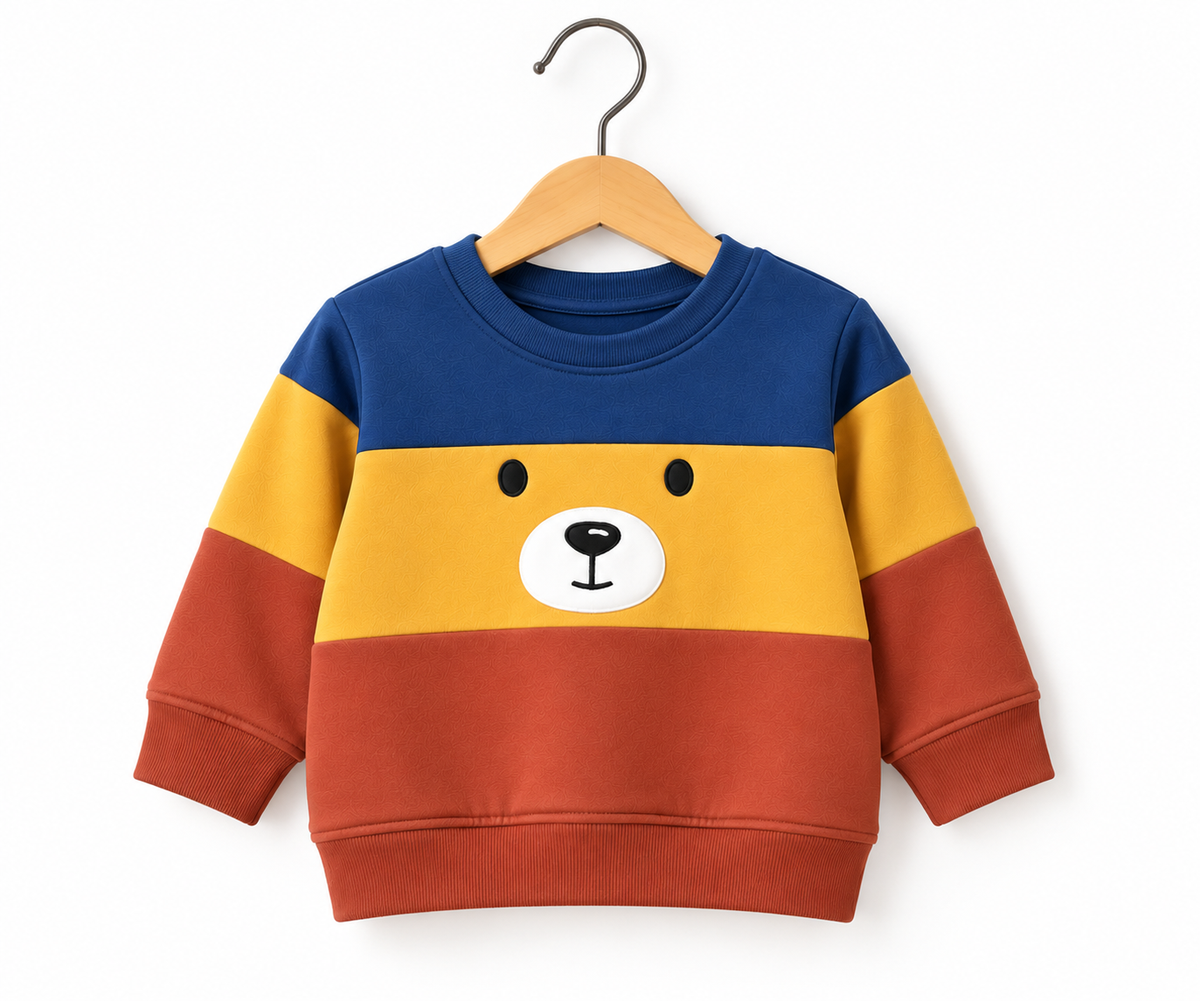 Unisex Colorblocked Ted Sweatshirt