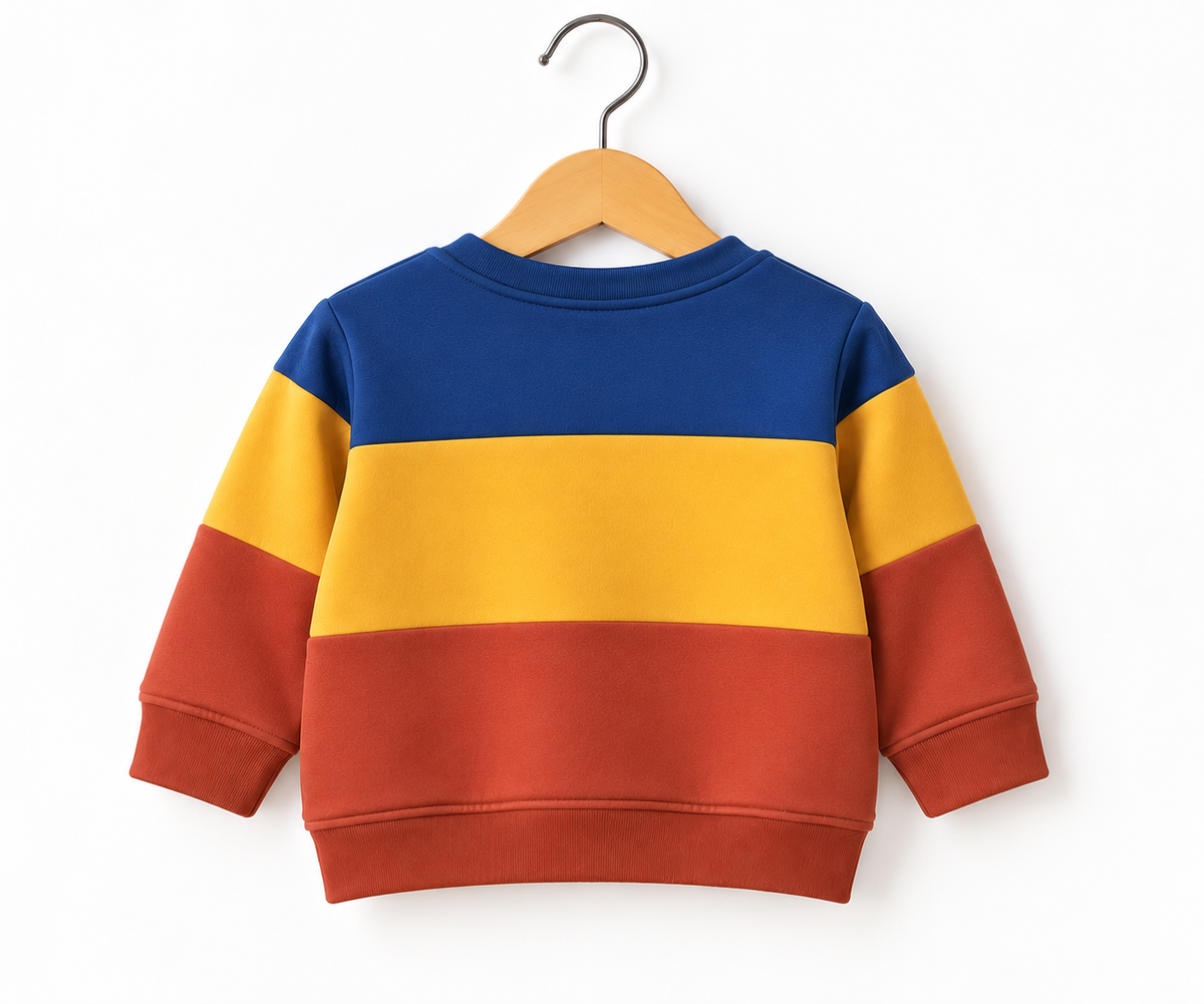 Unisex Colorblocked Ted Sweatshirt