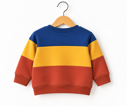 Unisex Colorblocked Ted Sweatshirt