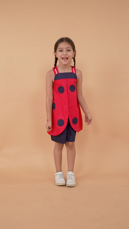 Lucky Ladybug Dress